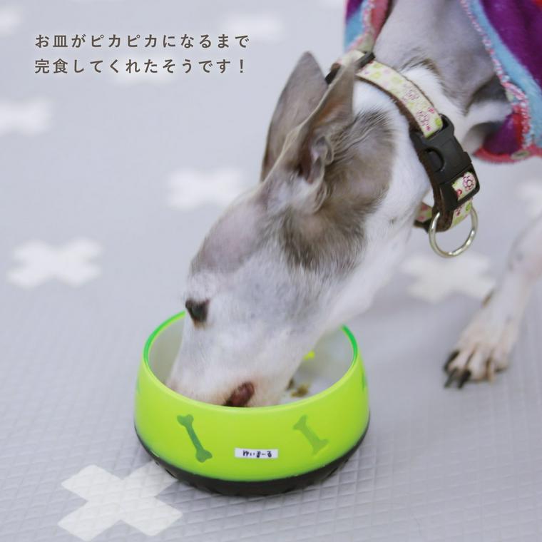 PETOKOTO FOODSを食べる保護犬