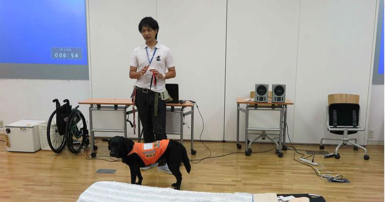 【動画で解説】聴導犬の訓練や仕事を紹介。聴導犬に向いている犬種や稼働数についても。