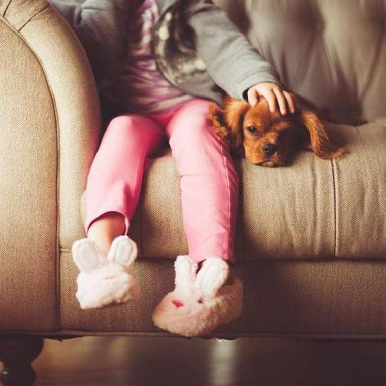 ソファでくつろぐ犬と子供