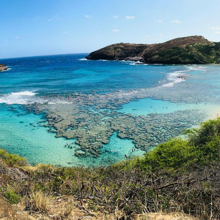 ハワイの海