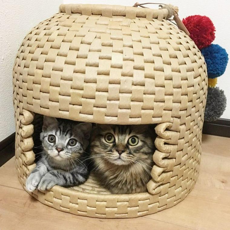 猫ちぐらでくつろぐ猫