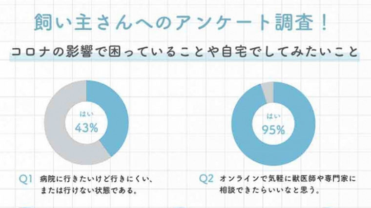 飼い主さんへのアンケート調査