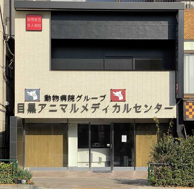 目黒アニマルメディカルセンター