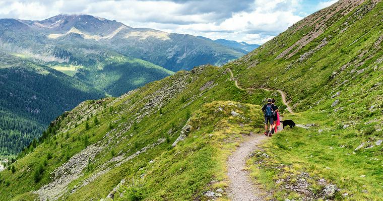 犬との登山はマナーが大事 犬が苦手な人にも配慮を忘れずに ペトこと