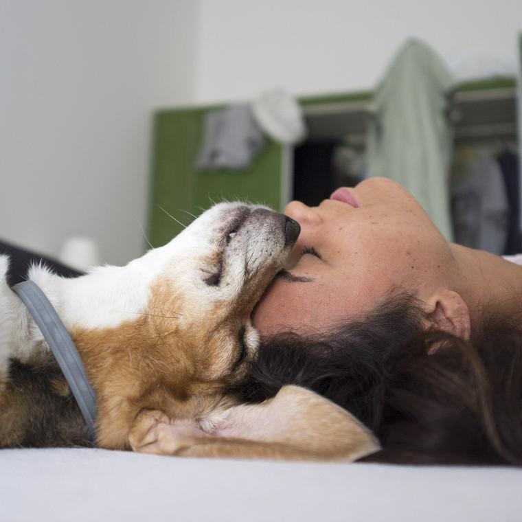 犬のツボとは 胃腸や腎臓などに効くツボ押しマッサージを動画で獣医師が解説 ペトコト