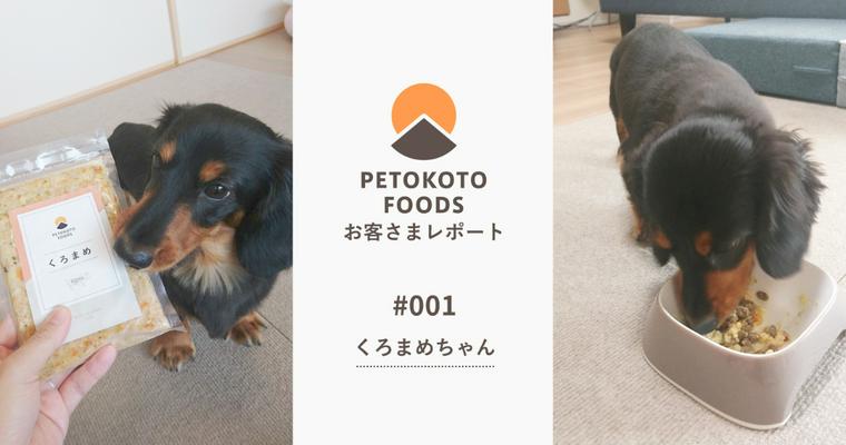 ごはんを食べない愛犬が夢中になったPETOKOTO FOODS　「その瞬間、これを毎日あげようと思った」【お客さまレポート #001】
