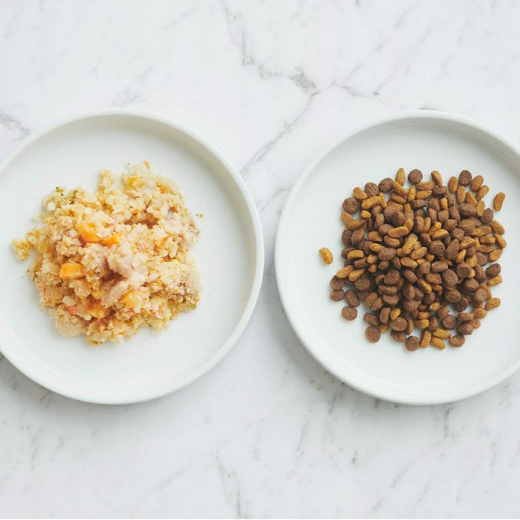 PETOKOTO FOODS