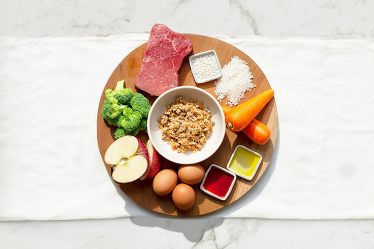 PETOKOTO FOODS