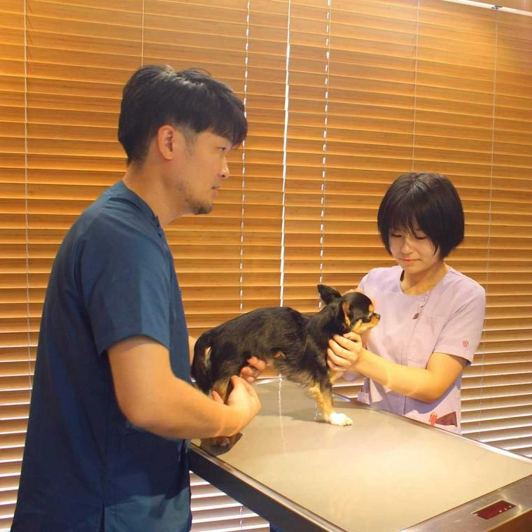 診察する藤間先生