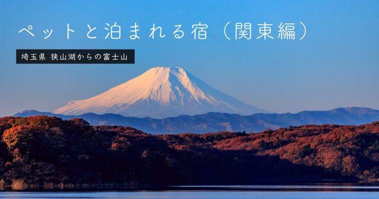 関東のペットと泊まれる宿15選 箱根や那須など特徴別に紹介 ペトこと