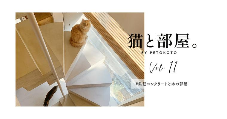 【猫と部屋。Vol.11】鉄筋コンクリートと木の部屋