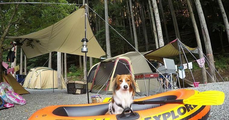 神奈川県の犬OKなキャンプ場おすすめ13選！ペットを連れてキャンプや温泉を満喫しよう