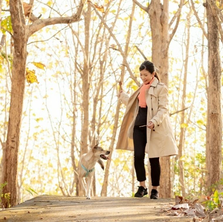 木々の中にいる女性と犬