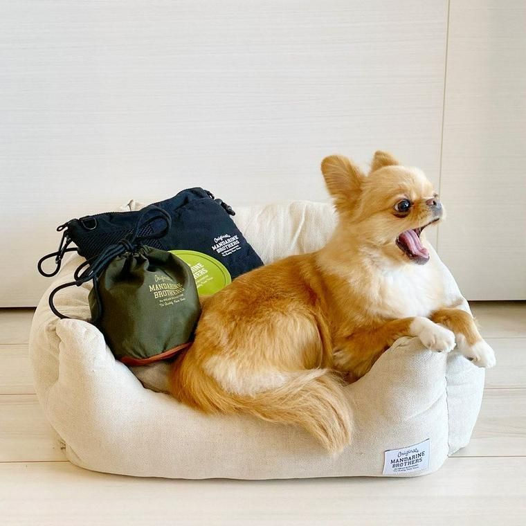 犬と新幹線に乗るときのルール マナー 快適な移動のための準備を解説 ペトこと