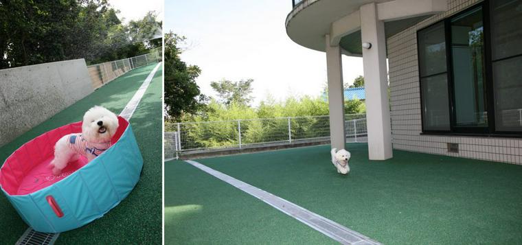 淡路島で人気の犬 ペットと泊まれる宿 ホテル8選 温泉やドッグラン付など特徴別に紹介 ペトコト