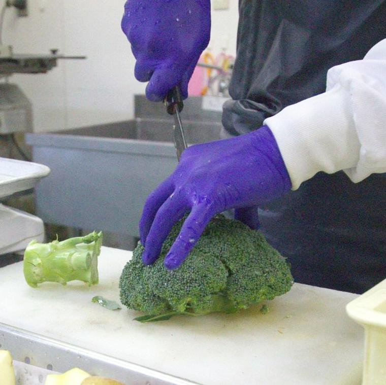 新鮮な食材を消化しやすい大きさにカットする様子