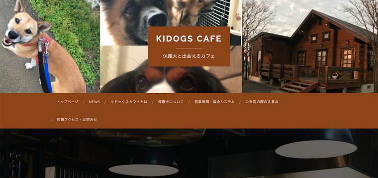 キドックスHP TOP