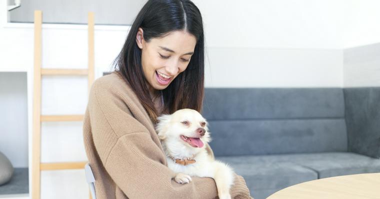 森泉さんが新たに保護犬をお迎え。運命の出会いと想いをインタビュー【お結びレポート】