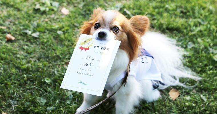 【PETOKOTO NEWS】今週末はGO TO「ワン！ダフル フェスタ2020秋」で愛犬と遊ぼう！