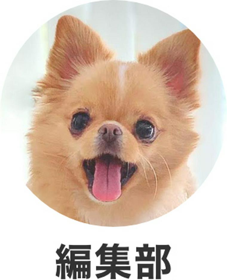 編集部