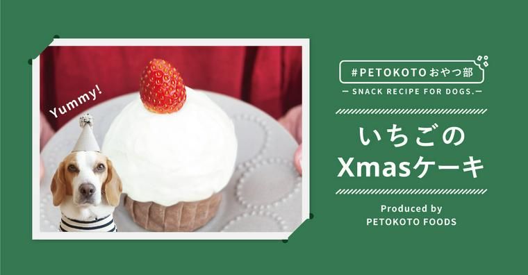 【PETOKOTOおやつ部】今年は愛犬に手作りのプレゼント！「いちごのクリスマスケーキ」