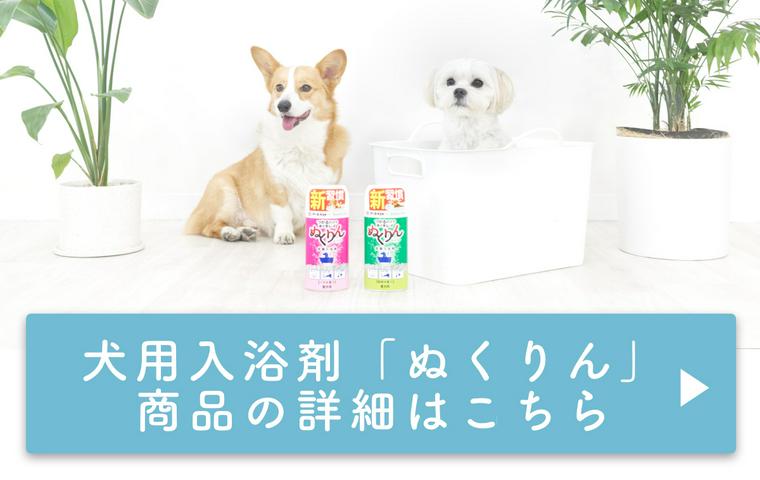 犬2匹と愛犬用炭酸入浴剤「ぬくりん」