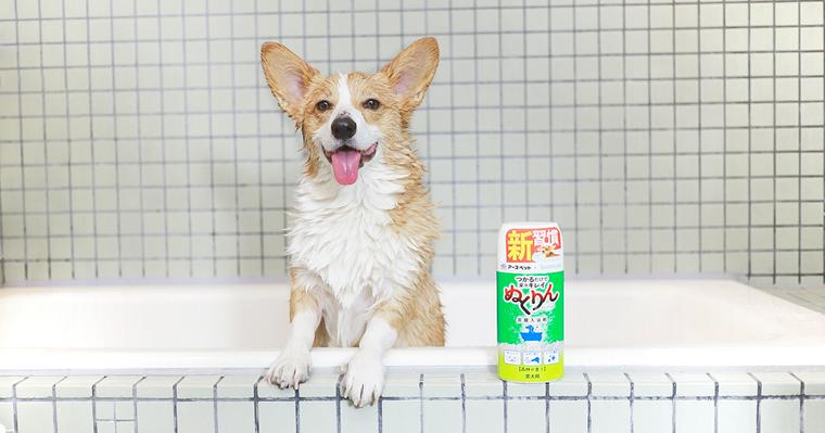 シャンプー、シャワー、乾燥、すべてが時短に。編集部スタッフの愛犬が「ぬくりん」を体験しました。