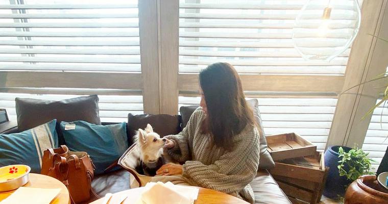 渋谷のドッグカフェ 犬同伴可レストラン11選 看板犬と触れ合えるカフェも紹介 ペトコト