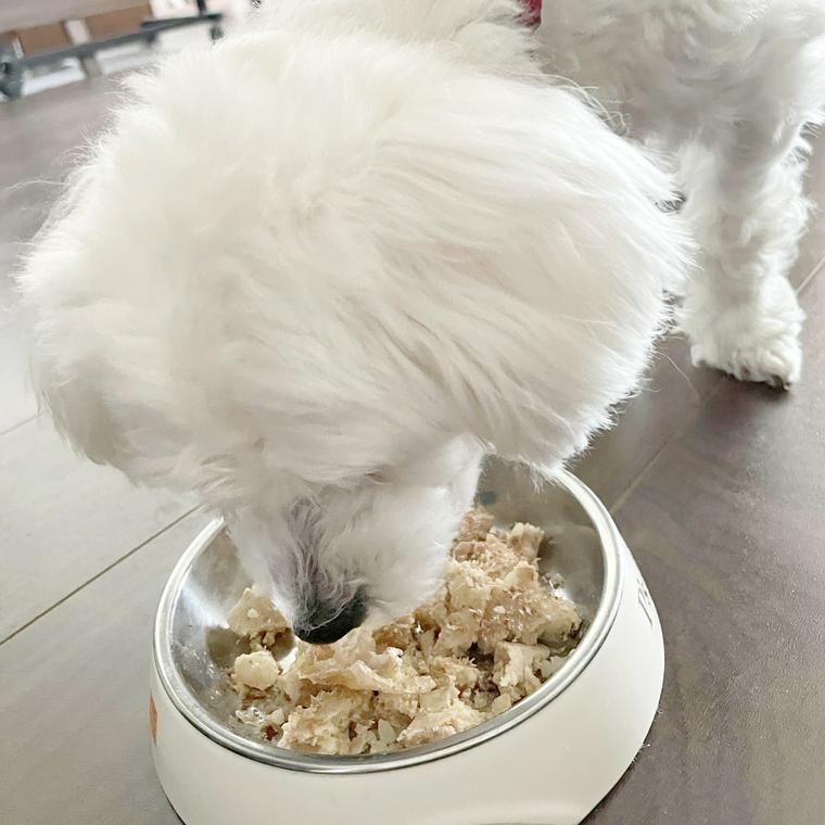 PETOKOTO FOODSを食べるみるくちゃん