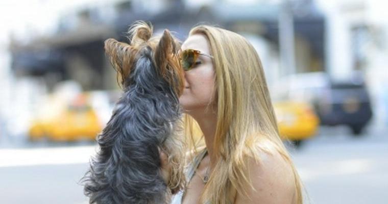犬とのキスは危険？犬が口を舐める意味やキスで感染する病気について獣医師が解説