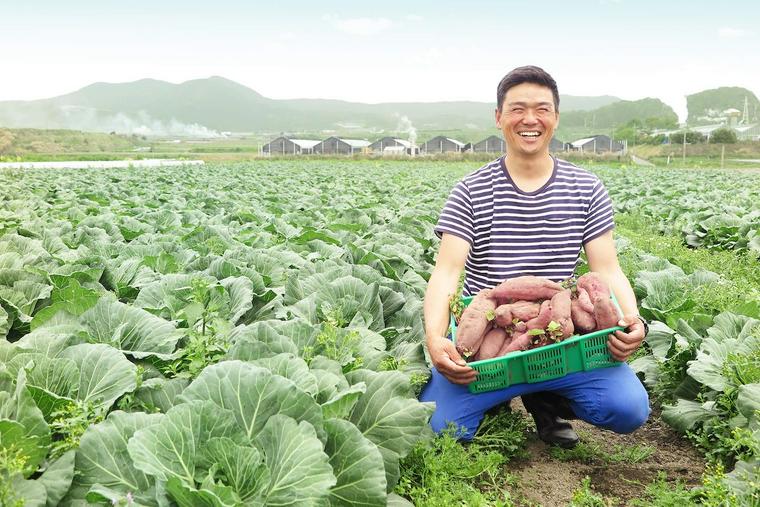 PETOKOTO FOODSで使われているサツマイモを作る菱田さん