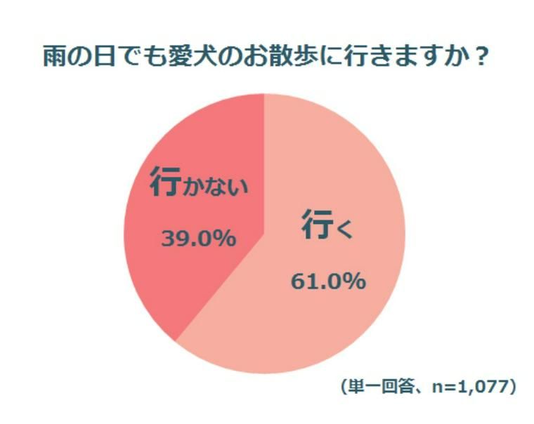 雨の日に犬の散歩に行く人と行かない人の割合
