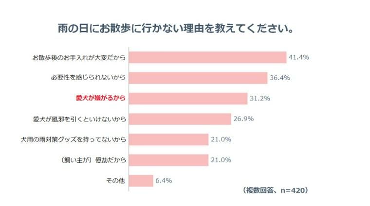 雨の日の犬の散歩に行かない理由