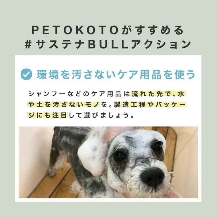 愛犬・愛猫との暮らしの中でできること