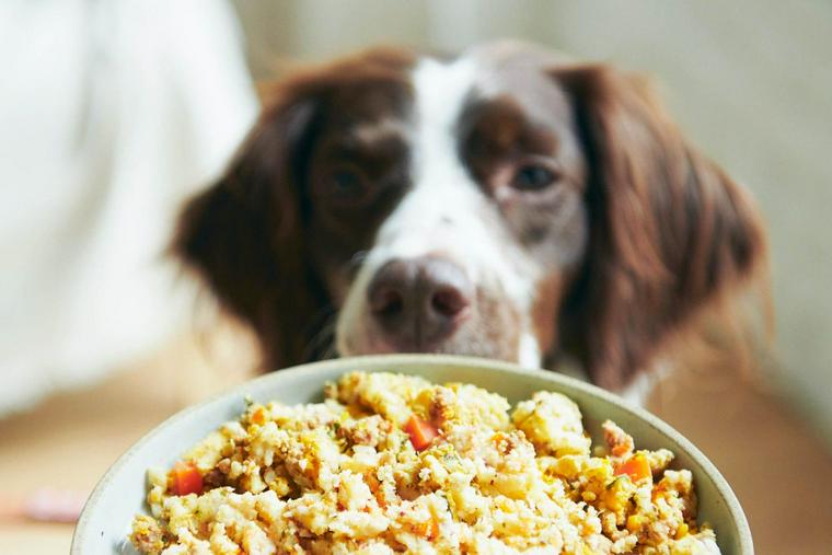 フレッシュドッグフード、犬の手作りごはんのPETOKOTO FOODS