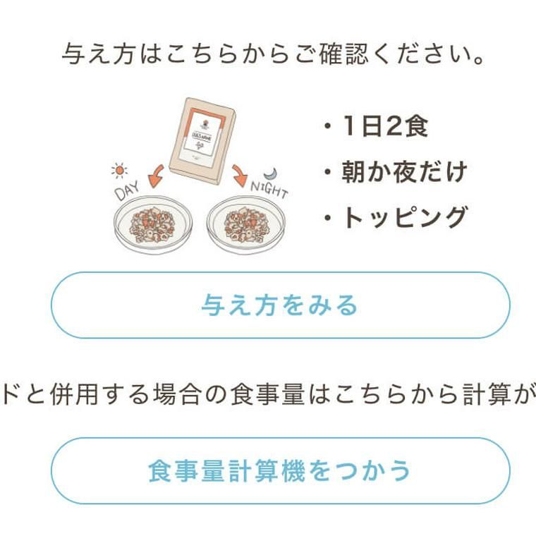 ガイド