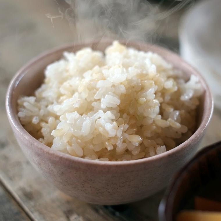 犬はお米を食べても大丈夫 アレルギーなど注意点や手作りレシピを紹介 ペトコト