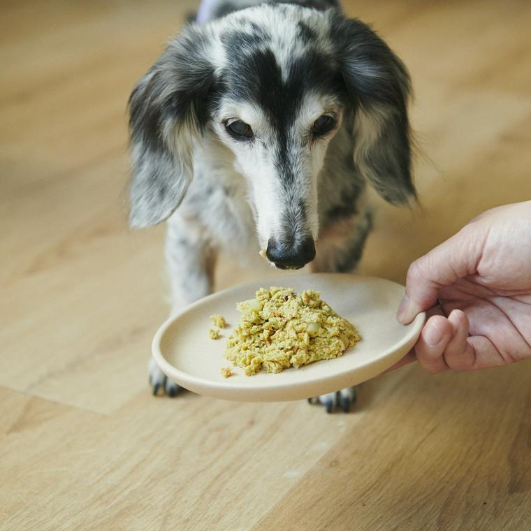 犬に炭水化物は必要 不要 あげていい食材やアレルギーの考え方を解説 獣医師監修 ペトコト