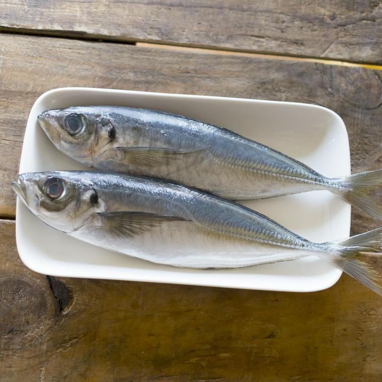 犬はアジ 鯵 を食べても大丈夫 与え方や注意点を栄養管理士が解説 ペトコト