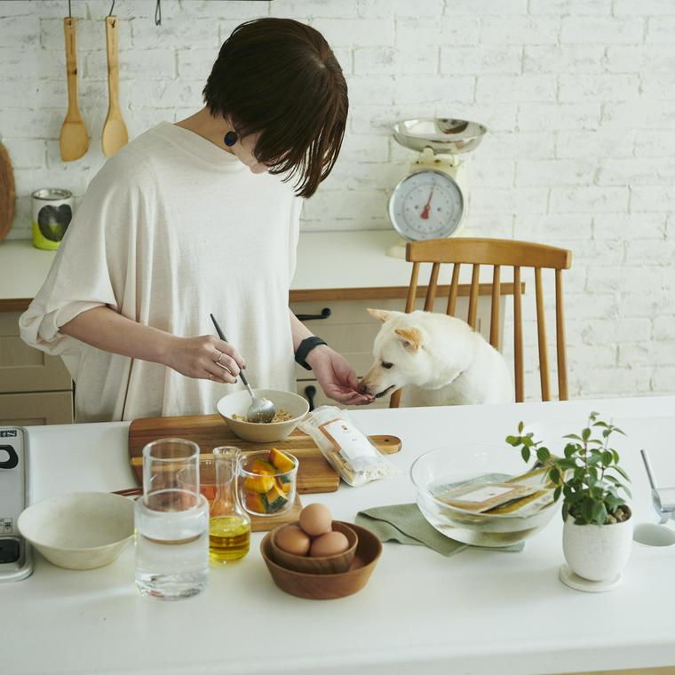 偏食 少食の愛犬との向き合い方とは 今日から試してほしい オススメの食べさせ方 をご紹介 ペトコト