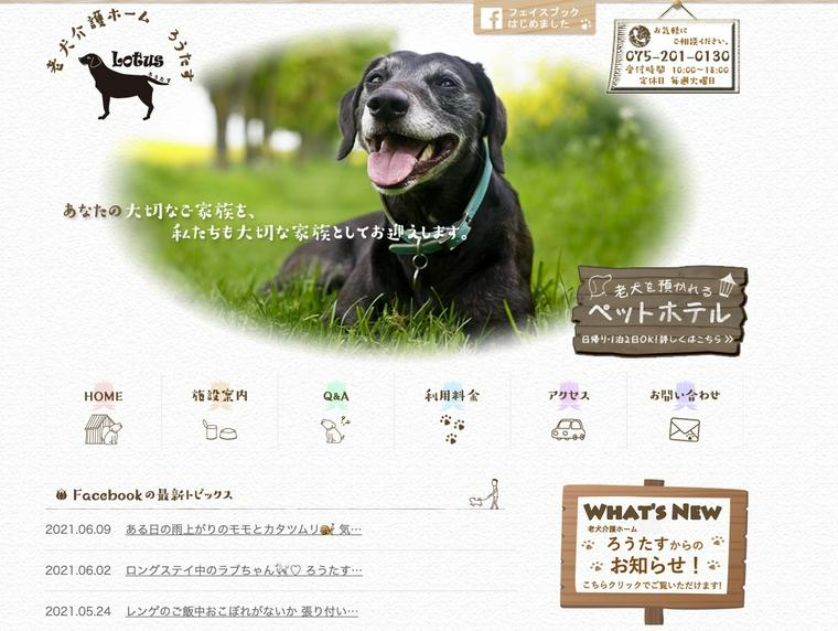 老犬介護ホーム ろうたすホームページTOP