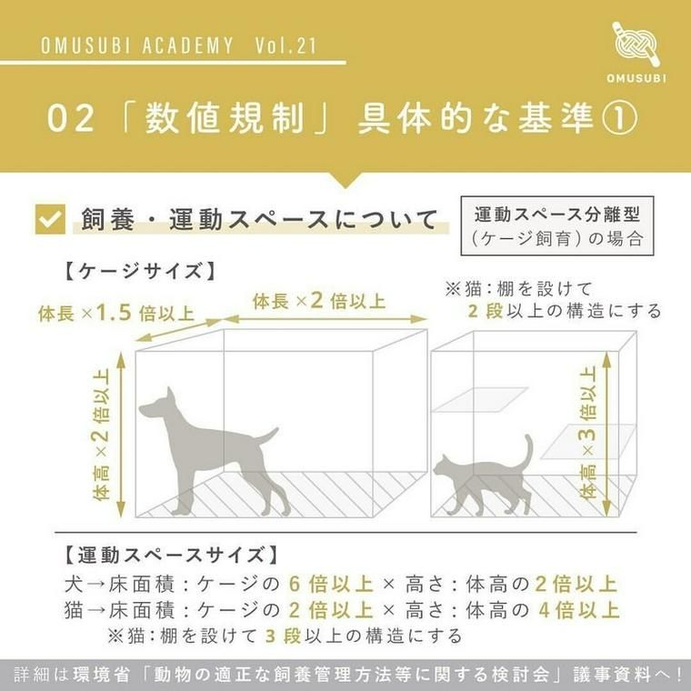 運動スペース分離型の数値規制画像
