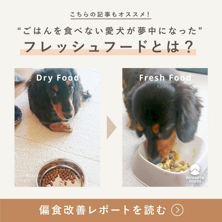 偏食