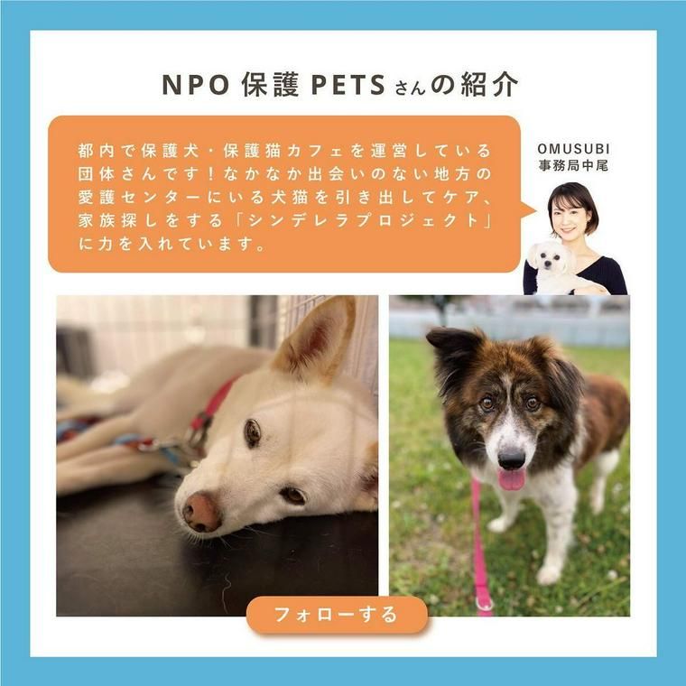 1フォロー1ミールプロジェクト