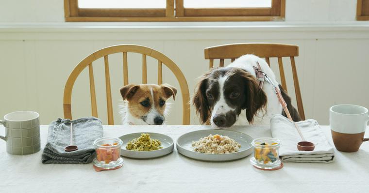食物繊維の働きと犬の必要量 摂りすぎのリスクや腸に良い食べ物を栄養管理士が解説 ペトコト