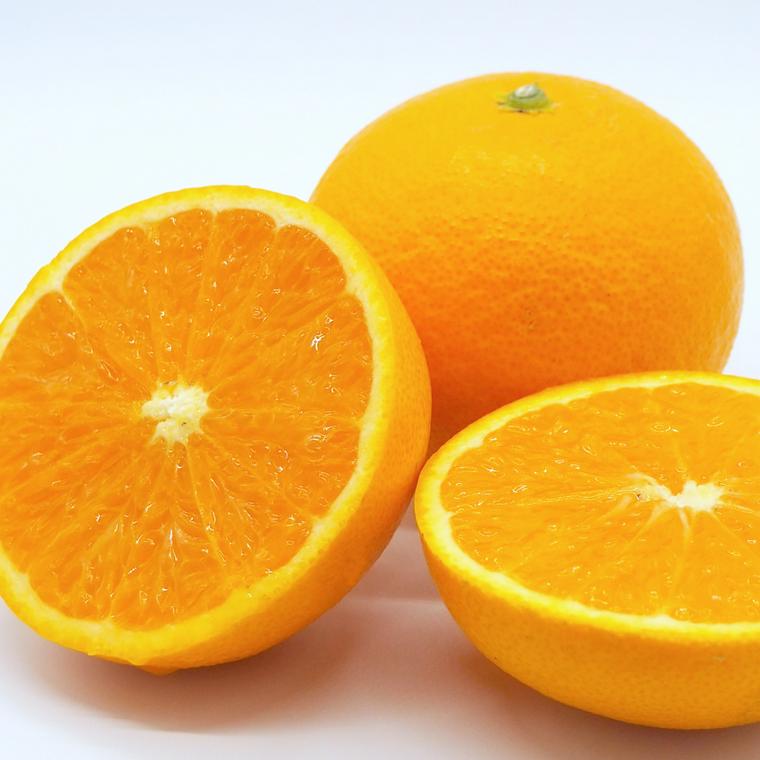犬はオレンジを食べても大丈夫 オレンジジュースやアイス 与える際の注意点を紹介 ペトコト