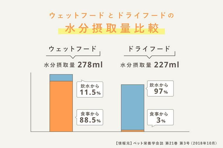 ウェットフードとドライフードの水分摂取量