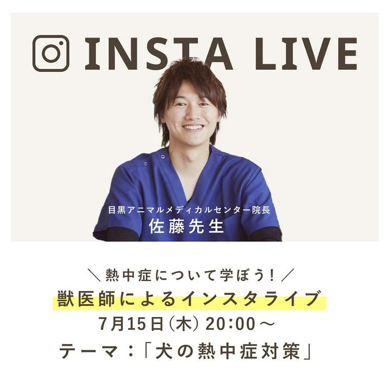 佐藤先生