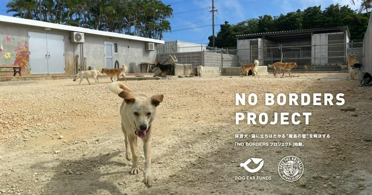 【PETOKOTO NEWS】“宮古島・離島の壁“抱える保護犬・猫たちのための挑戦「NO BORDERSプロジェクト」