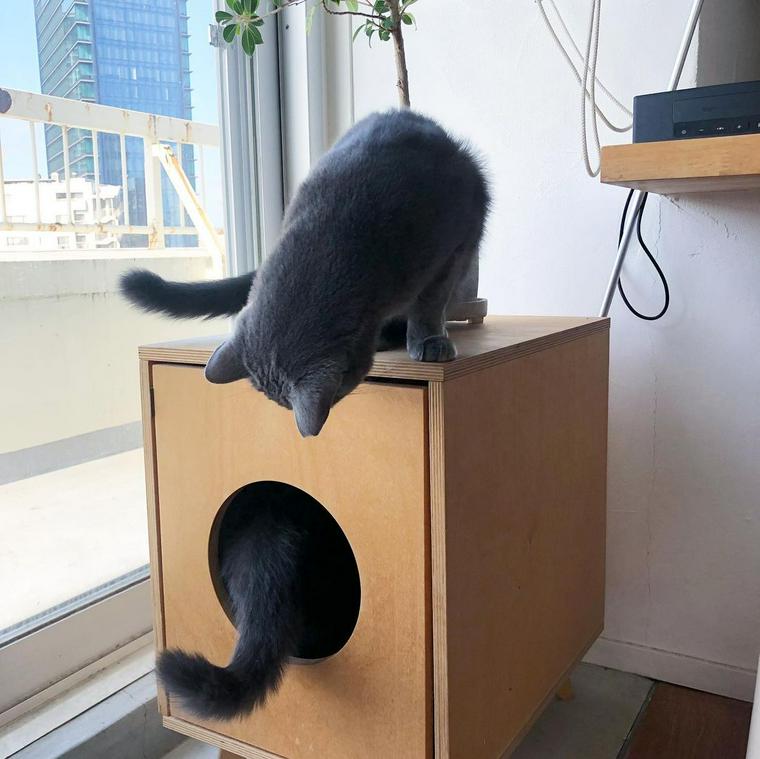 《受注生産C06》おしゃれハウス ハンドメイド リメイク 保護猫 タワー 外猫